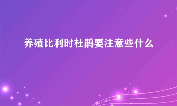 养殖比利时杜鹃要注意些什么