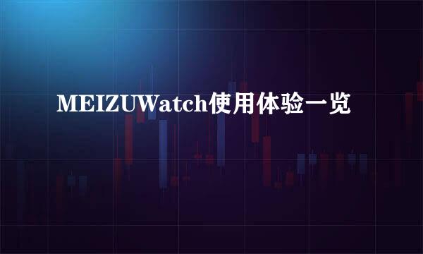 MEIZUWatch使用体验一览