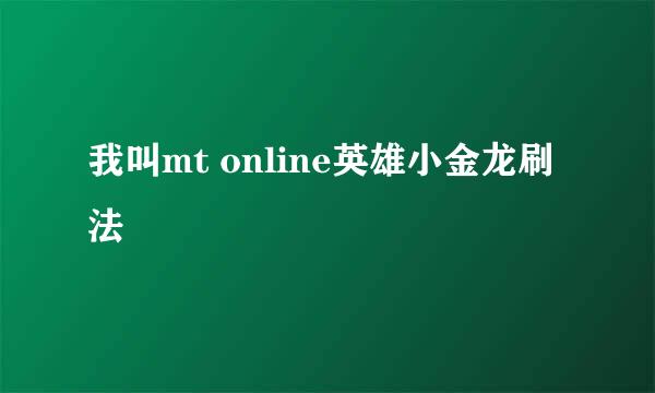 我叫mt online英雄小金龙刷法