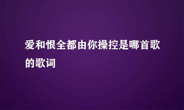 爱和恨全都由你操控是哪首歌的歌词