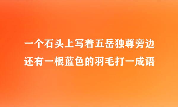 一个石头上写着五岳独尊旁边还有一根蓝色的羽毛打一成语