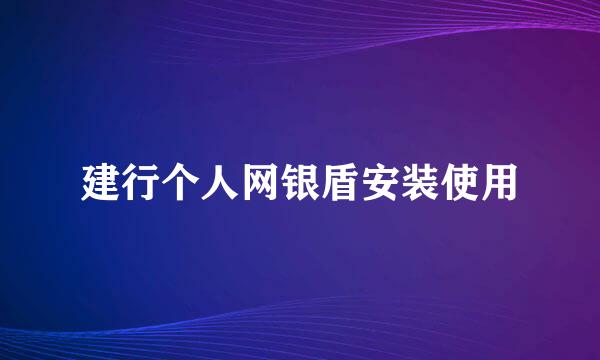 建行个人网银盾安装使用