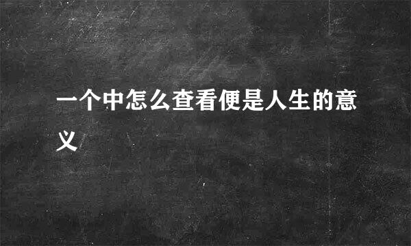 一个中怎么查看便是人生的意义