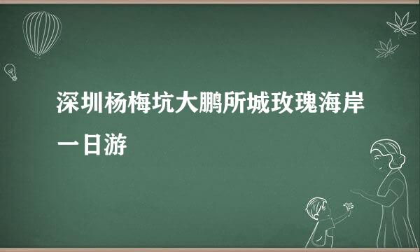 深圳杨梅坑大鹏所城玫瑰海岸一日游