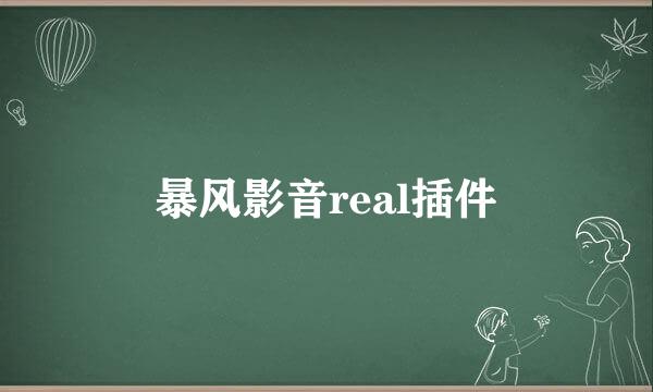 暴风影音real插件