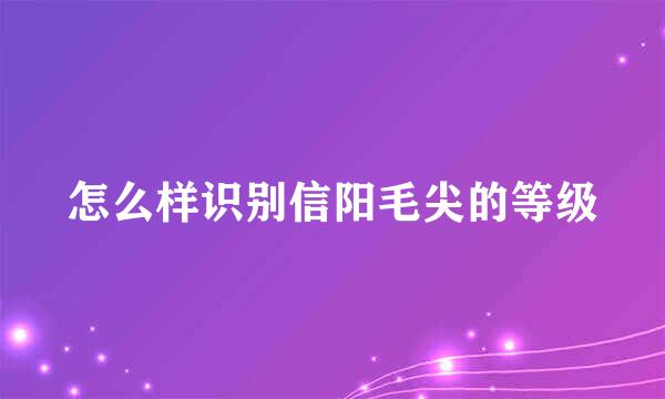 怎么样识别信阳毛尖的等级