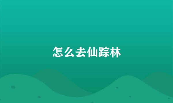 怎么去仙踪林