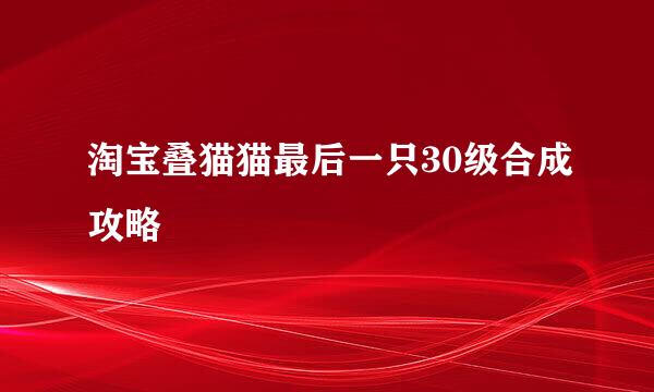 淘宝叠猫猫最后一只30级合成攻略