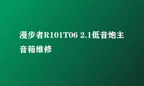 漫步者R101T06 2.1低音炮主音箱维修