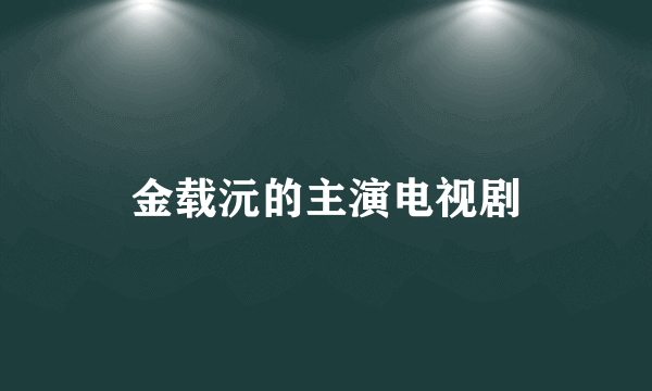 金载沅的主演电视剧