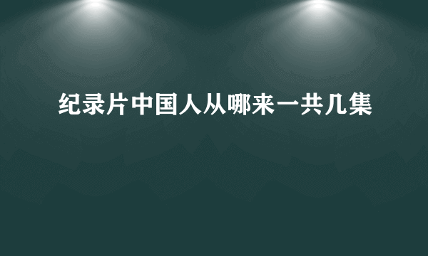 纪录片中国人从哪来一共几集