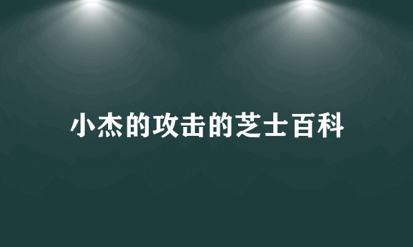 小杰的攻击的芝士百科