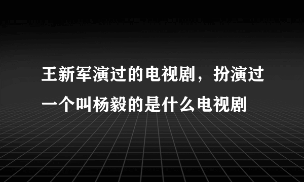 王新军演过的电视剧，扮演过一个叫杨毅的是什么电视剧