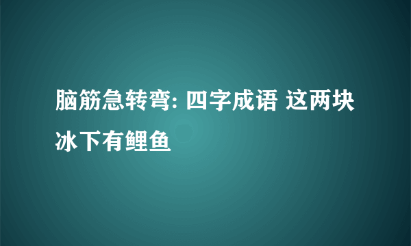 脑筋急转弯: 四字成语 这两块冰下有鲤鱼