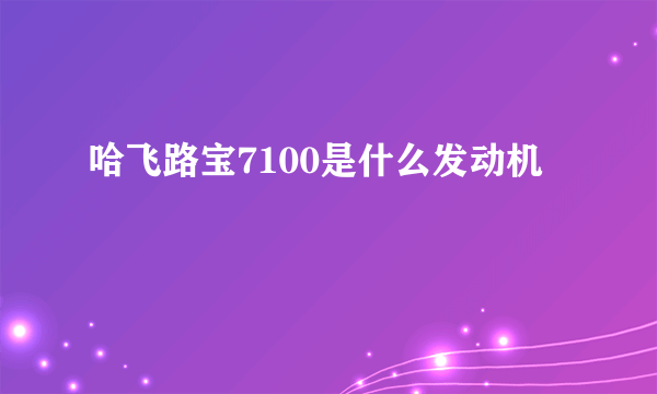 哈飞路宝7100是什么发动机