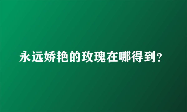 永远娇艳的玫瑰在哪得到？