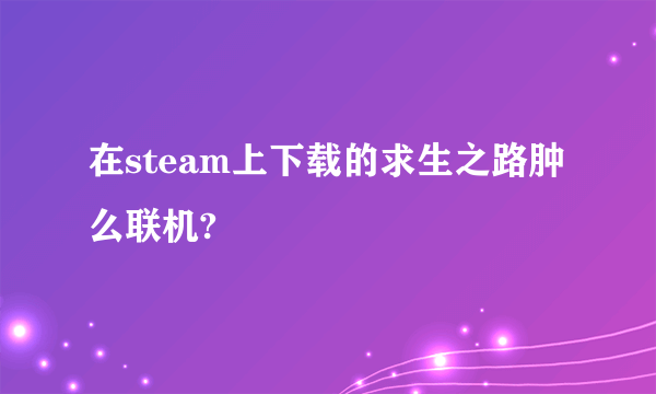 在steam上下载的求生之路肿么联机?