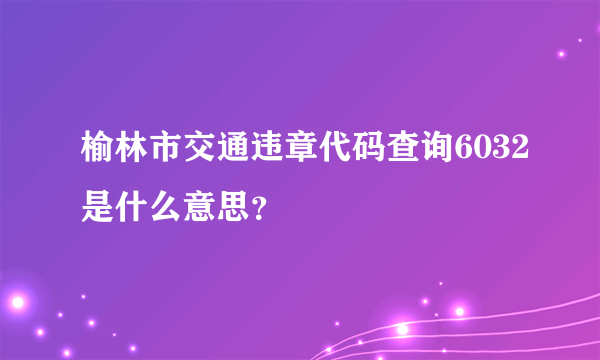 榆林市交通违章代码查询6032是什么意思？