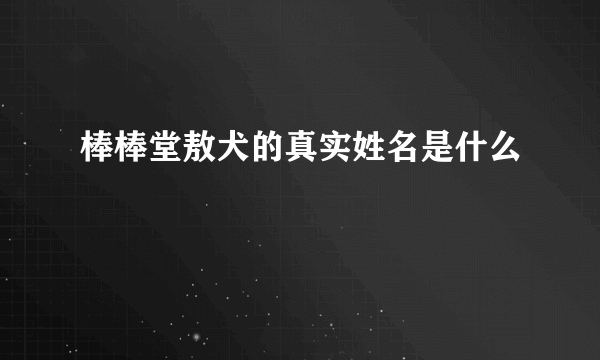 棒棒堂敖犬的真实姓名是什么