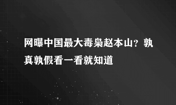 网曝中国最大毒枭赵本山？孰真孰假看一看就知道