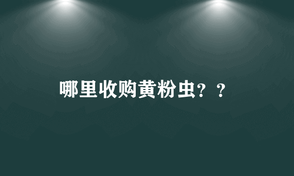 哪里收购黄粉虫？？