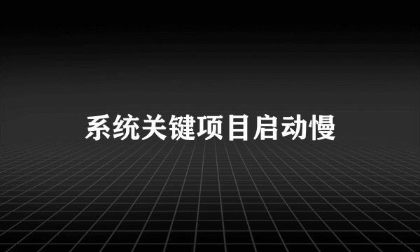 系统关键项目启动慢