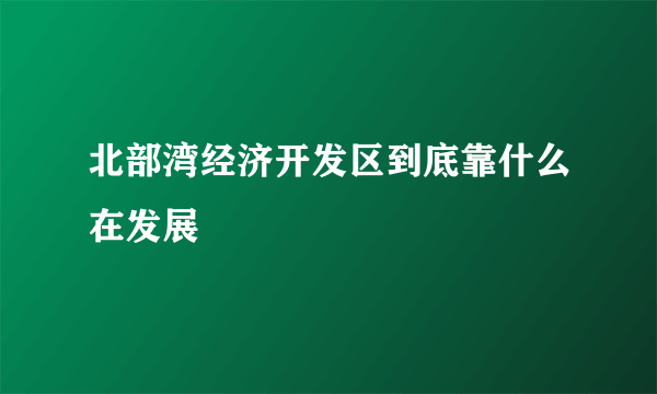 北部湾经济开发区到底靠什么在发展