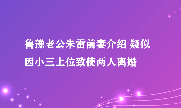 鲁豫老公朱雷前妻介绍 疑似因小三上位致使两人离婚