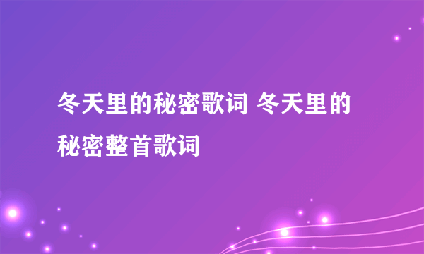 冬天里的秘密歌词 冬天里的秘密整首歌词