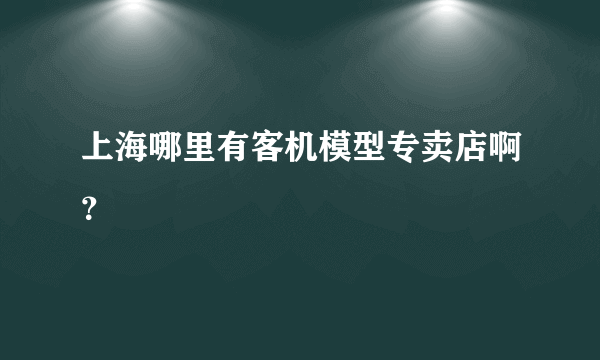 上海哪里有客机模型专卖店啊？