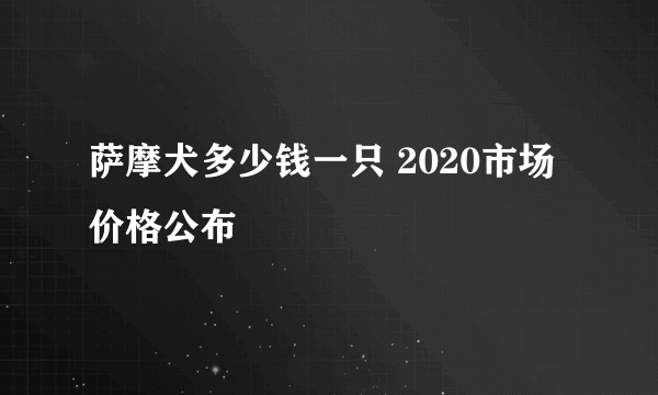 萨摩犬多少钱一只 2020市场价格公布