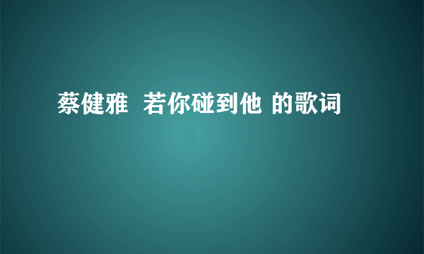 蔡健雅  若你碰到他 的歌词