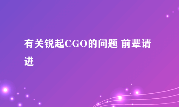 有关锐起CGO的问题 前辈请进