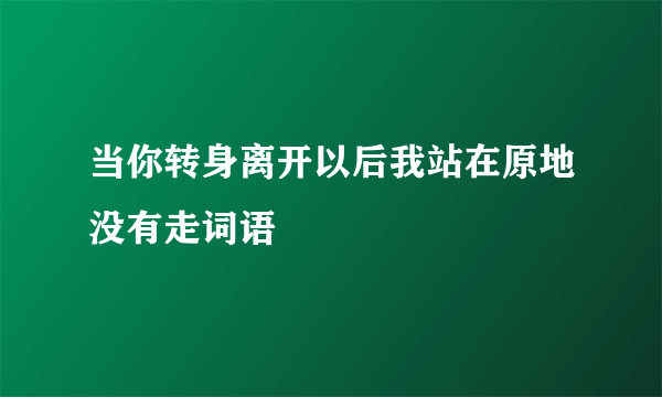 当你转身离开以后我站在原地没有走词语