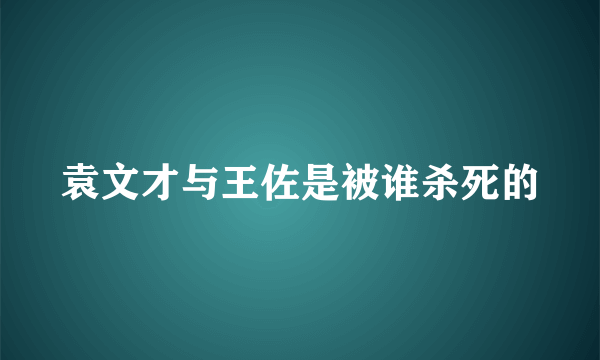 袁文才与王佐是被谁杀死的