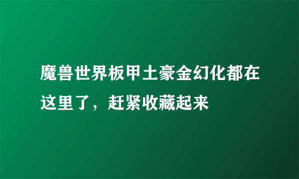 魔兽世界板甲土豪金幻化都在这里了，赶紧收藏起来