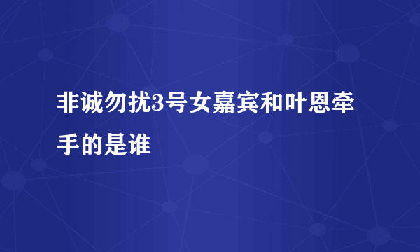 非诚勿扰3号女嘉宾和叶恩牵手的是谁