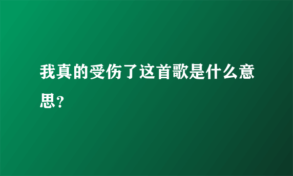 我真的受伤了这首歌是什么意思？