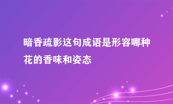 暗香疏影这句成语是形容哪种花的香味和姿态