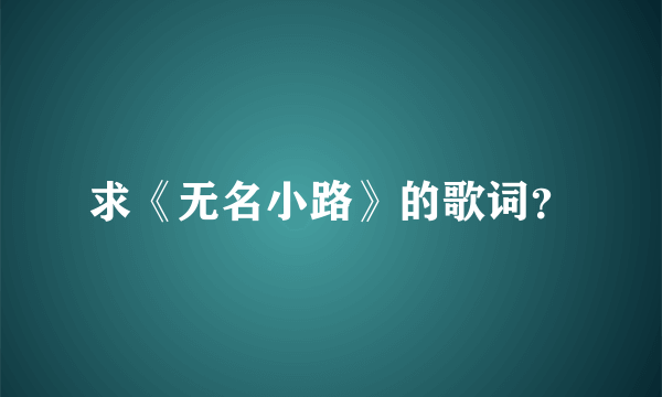 求《无名小路》的歌词？