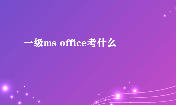 一级ms office考什么