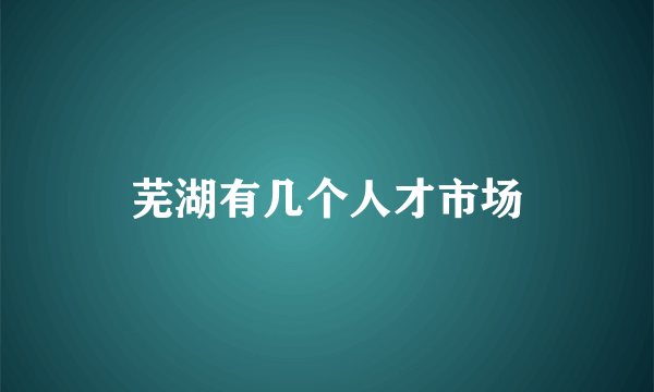 芜湖有几个人才市场