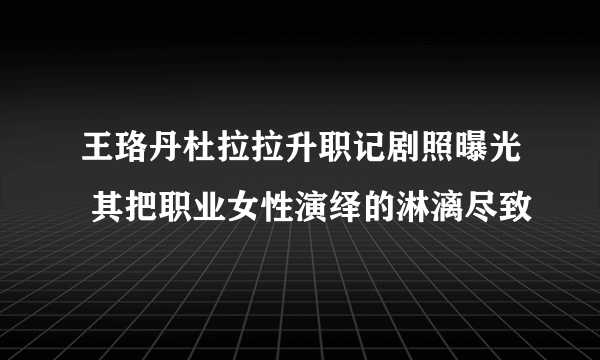 王珞丹杜拉拉升职记剧照曝光 其把职业女性演绎的淋漓尽致