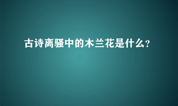 古诗离骚中的木兰花是什么？