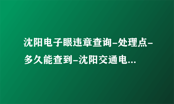 沈阳电子眼违章查询-处理点-多久能查到-沈阳交通电子眼违章查询-飞外网