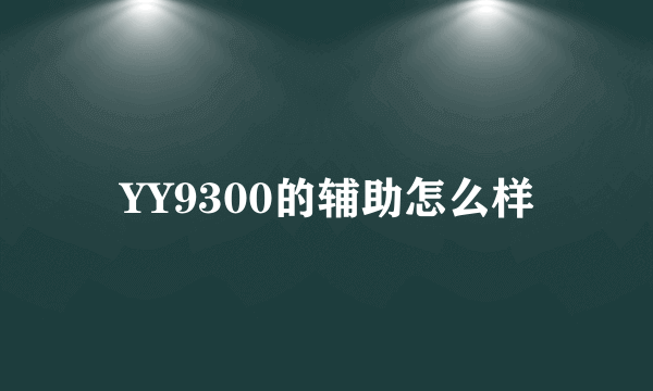 YY9300的辅助怎么样