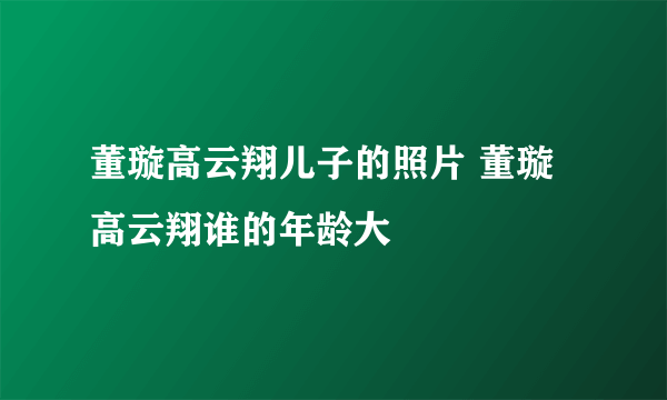 董璇高云翔儿子的照片 董璇高云翔谁的年龄大