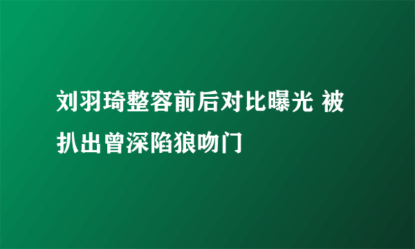 刘羽琦整容前后对比曝光 被扒出曾深陷狼吻门