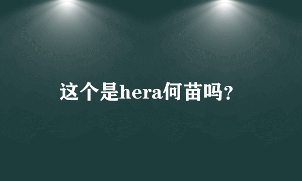 这个是hera何苗吗？