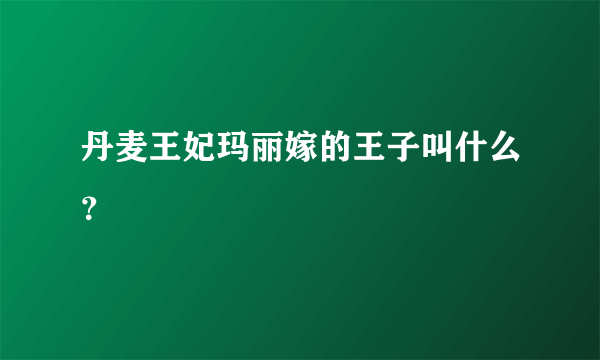 丹麦王妃玛丽嫁的王子叫什么？